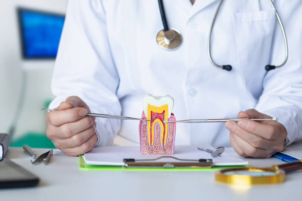 Best Tooth Infection Emergency Dentist  in Ddleville, MI